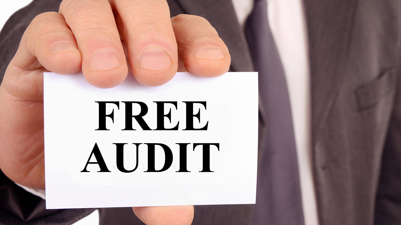 local business free audit